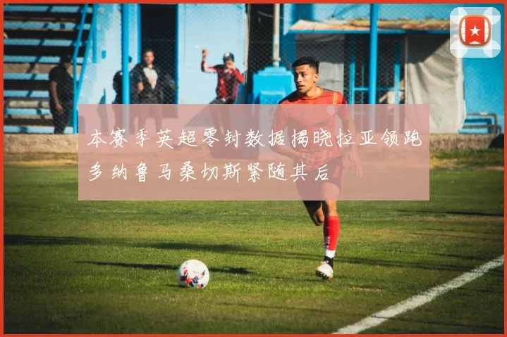 本赛季英超零封数据揭晓拉亚领跑多纳鲁马桑切斯紧随其后